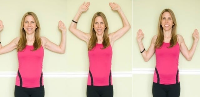 The Shoulder and Rotator Cuff Injuries